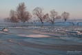 073_Biebrza - marzec 2013